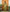 Soft Banarasi Silk Golden Zari Weaving Saree