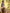 Gery Color With blue Blouse Golden Fulda Soft Silk Kantivati Saree Weaving