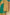 Green Soft Silk Floral Border Contrast Zari Woven Saree