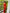 Evanescent Red Soft Silk Saree