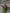 Green And Purple Soft Silk Saree