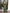 Bindu Green Soft Silk Saree