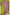 Parrot Green Soft Silk Floral Border Contrast Zari Woven Saree