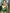 Bindu Green Soft Silk Saree