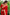 Ethnic Red Soft Silk Saree