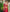 Bright Pink Soft Lichi Silk Saree