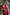 Whimsical Dark Green Soft Silk Saree