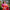 Extraordinary Orange Soft Silk Saree