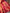 Valiba Pure heavy banarasi saree with rich pallu Latest Designer