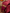 Maroon Luxurious Soft Banarasi Silk Saree