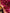Rani Pink Luxurious Soft Banarasi Silk Saree