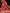 Red Luxurious Soft Banarasi Silk Saree