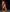 Dalliance Purple Soft Silk Saree