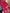 Onion Pink Banarasi Soft Silk Saree
