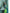 Valiba Beautiful Lite Green & Jacquard Work Silk Designer Sarees