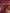 Kaushalya - Maroon Banarasi Satin Saree with Golden Zari Floral Weaving