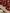 Kusum – Maroon Banarasi Silk Saree with Multi-Coloured Zari Floral Weaving