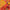 Adorning Yellow Soft Banarasi Silk Saree