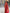 Dark Maroon Jacquard Work Saree