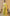 Valiba Lichi  Gold Silk With Wiving And Nice Extra Ordnary Latest Sarees