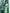 Valiba Beautiful Lite Green & Jacquard Work Silk Designer Sarees