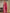 Laita Pink Banarasi Silk Saree