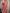 Tisha Pestal Pink Soft Banarasi Saree With Attached Blouse