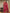 Laita Pink Banarasi Silk Saree