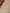Kusum – Maroon Banarasi Silk Saree with Multi-Coloured Zari Floral Weaving