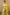 Valiba Lichi  Gold Silk With Wiving And Nice Extra Ordnary Latest Sarees