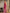 Laita Pink Banarasi Silk Saree