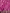 Tanirika - Pink Mashru Silk Saree with Golden Zari Butta & Royal Woven Pallu