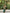 Kanjee – green Banarasi Soft Silk Saree with Elegant Minimal Weaving