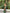 Kanjee – green Banarasi Soft Silk Saree with Elegant Minimal Weaving