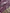 Annapurna - Mauve Satin Saree with Zari Weaving Silk Saree with Zari Border