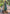 Dark Green Banarasi Jaal Katan Silk Zari Woven Saree