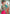 Gajari Colour Butti Zari Woven Paithani Silk Saree With Resham Tassel