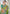 Lime Colour Butti Zari Woven Paithani Silk Saree With Resham Tassel