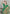 Banarasi Katan Silk Zari Woven Green Colour Saree