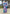 Stylish Teal Colour Soft Silk Zari Woven Floral Border Saree