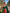 Green Soft Silk Contrast Gold Zari Woven Saree