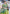 Latest Pure Tissue Zari Woven Green Colour Saree