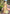 Mint Green Organza Multicolor Latest Zari Woven Saree