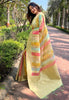 Mint Green Organza Multicolor Latest Zari Woven Saree