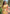 Yellow Organza Multicolor Latest Zari Woven Saree