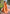 Orange Organza Floral Rainbow Zari Woven Unique Saree
