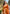 Pumpkin Orange Organza Floral Dual Zari Woven Saree With Unstitched Blouse