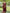 Nayira - Maroon Blue Soft Silk Saree with Silver Zari Border and Matching Blouse