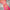 Apogee Pink Banarasi Silk Saree