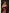 Claret Maroon Banarasi Silk Saree